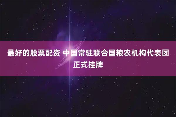 最好的股票配资 中国常驻联合国粮农机构代表团正式挂牌