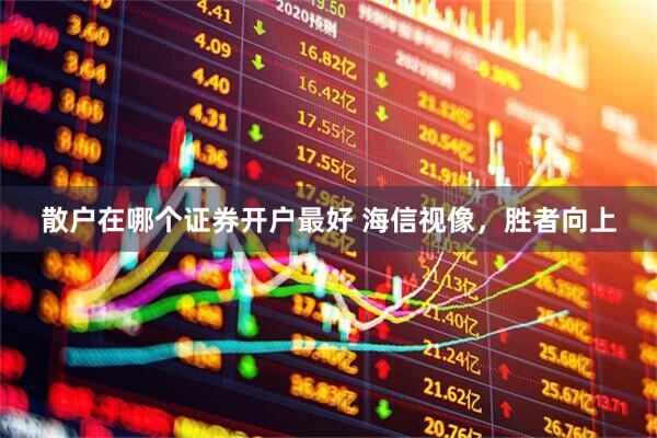 散户在哪个证券开户最好 海信视像，胜者向上