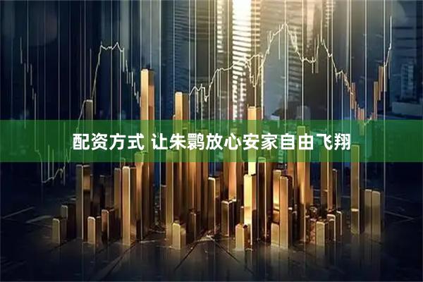 配资方式 让朱鹮放心安家自由飞翔